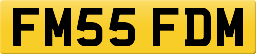 FM55FDM